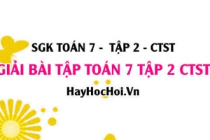 Giải Bài tập Toán 7 tập 2 SGK Chân trời sáng tạo